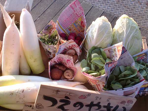 日田温泉 サンセット屋形船BARのお野菜 (1)