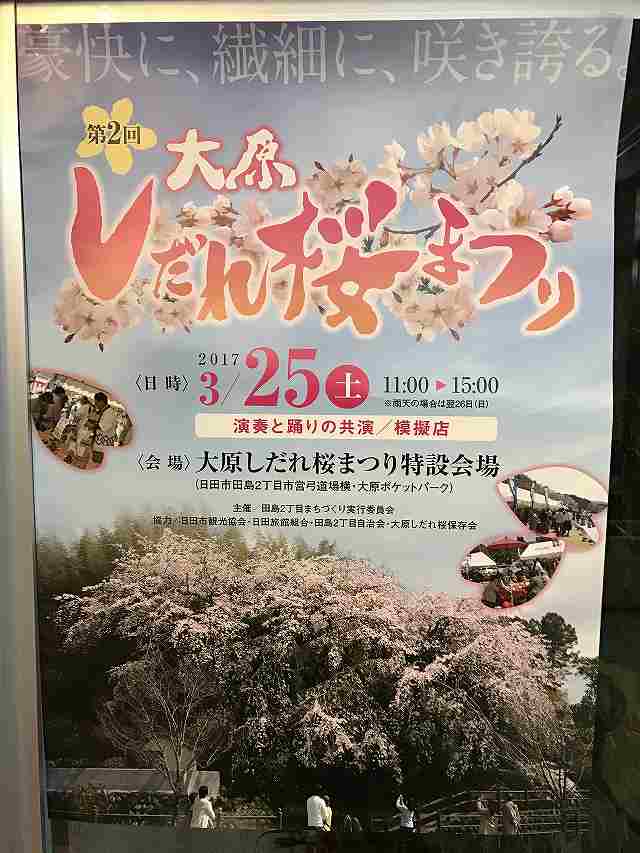 豪快に、繊細に、咲き誇る。第2回 大原しだれ桜まつり