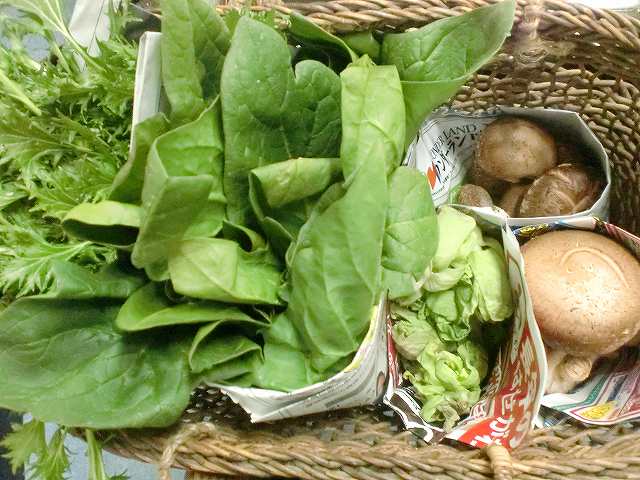 サンセット屋形船のお野菜たち