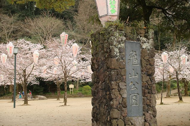 亀山公園の桜 sakura 大分県日田市 (12)