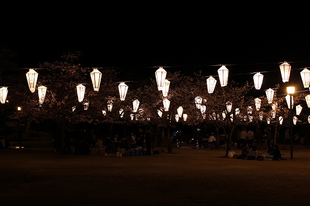 亀山公園の桜 sakura 大分県日田市 (7)