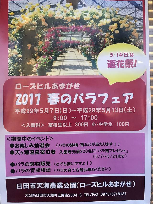 日田市天瀬農業公園 ローズヒルあまがせ 2017 春のバラフェア 5/14は遊花祭