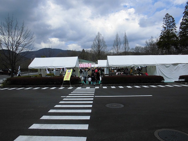 日田いいちこ工場春の蔵だし祭り 亀山公園桜祭り、サンセット屋形船終了です