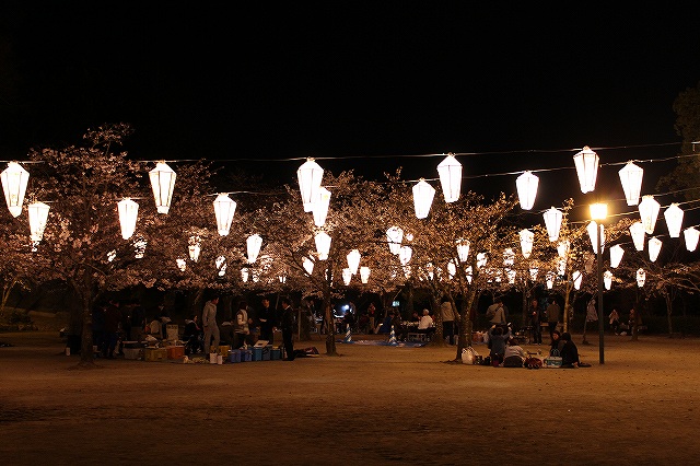 亀山公園の桜 sakura 大分県日田市 (8)