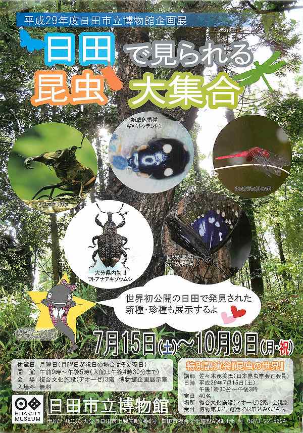 日田で見られる昆虫大集合 平成29年度日田市立博物館企画展