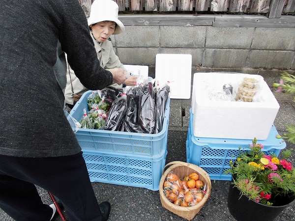 お久しぶりに出会えてよかった日田市 隈の朝市 (3)