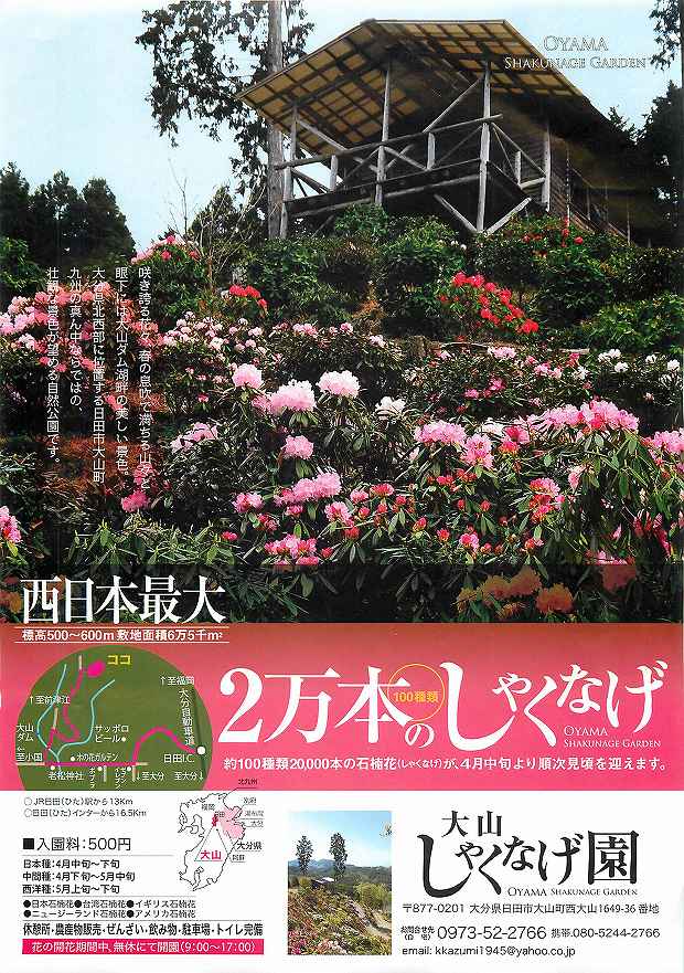 西日本最大 2万本 100種類 の大山しゃくなげ園 日田温泉亀山亭ホテル 日田にある創業140余年の温泉宿